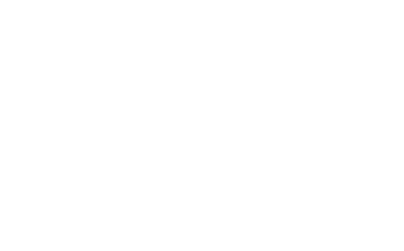Cocuy Saroche
